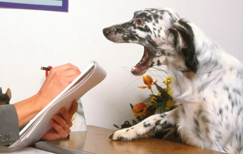 Educateur canin près de Bergerac