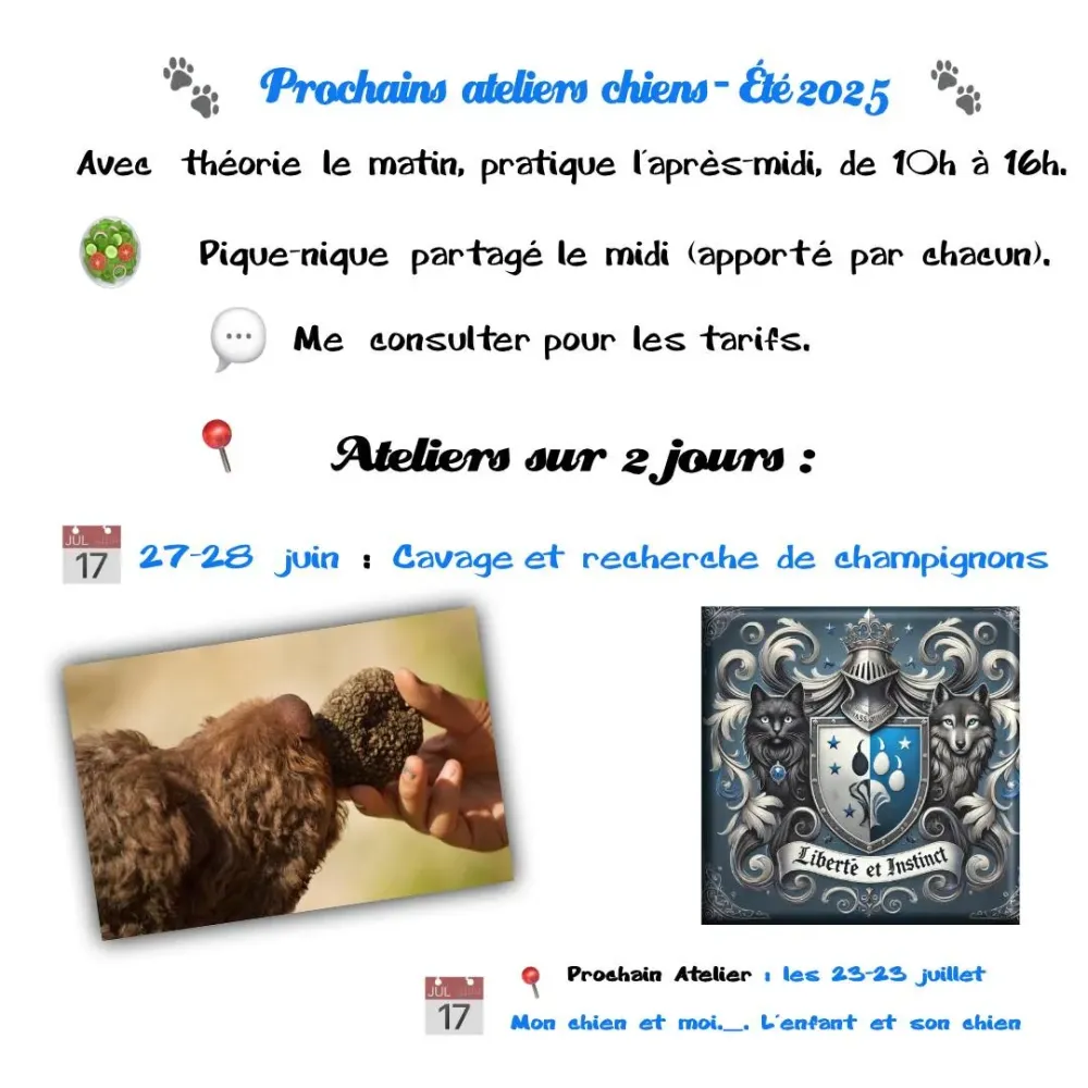 Atelier chien