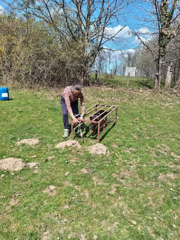 Atelier l'enfant et son chien
